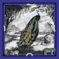 Batic matase naturala-Peacock Feathers - albastru