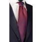 Cravată-de-mătase-Roșu-Bordeaux-Fantezie-Albastru-Alb- AN6307